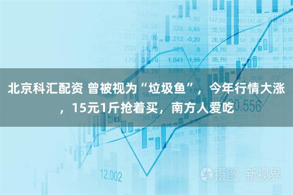 北京科汇配资 曾被视为“垃圾鱼”，今年行情大涨，15元1斤抢着买，南方人爱吃