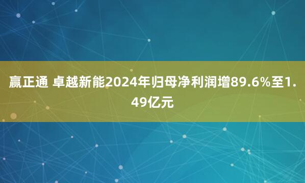 赢正通 卓越新能2024年归母净利润增89.6%至1.49亿元