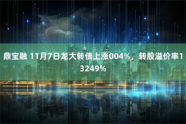 鼎宝融 11月7日龙大转债上涨004%，转股溢价率13249%