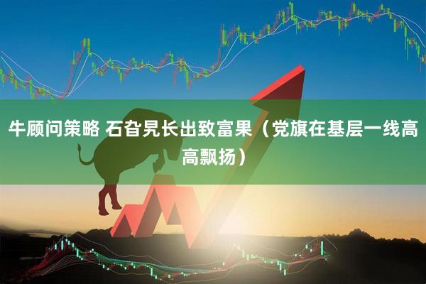 牛顾问策略 石旮旯长出致富果（党旗在基层一线高高飘扬）