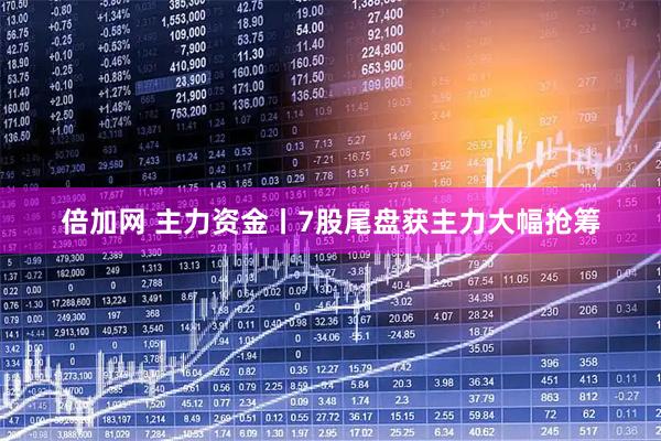 倍加网 主力资金丨7股尾盘获主力大幅抢筹